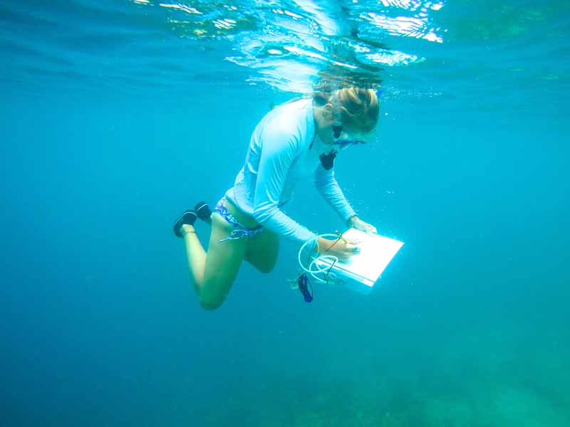 The School of International Training, Vermont SIT Study Abroad