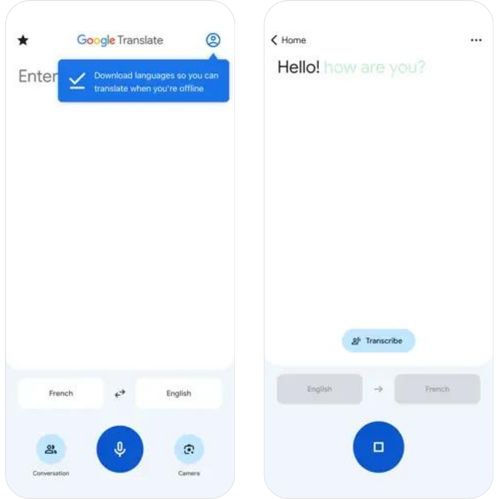 Google Translate - Text, Photo & Voice Translator Google Translate - Text, Photo & Voice Translator