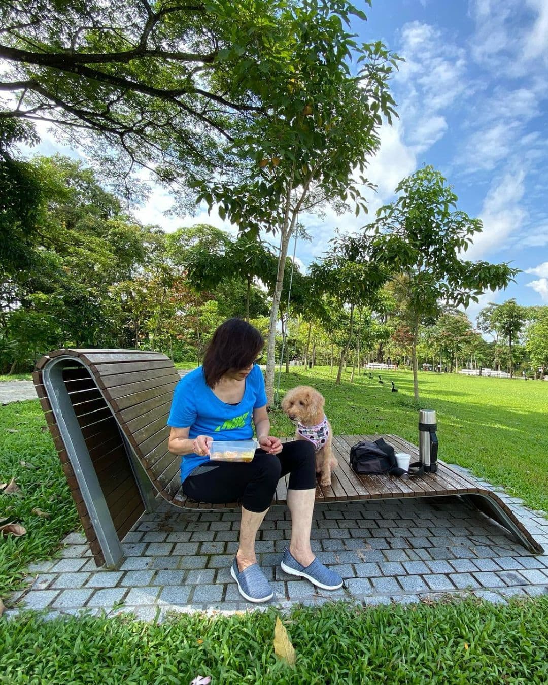 Bishan-Ang Mo Kio Park – Open-Air Study in Nature Spacious green park with modern wooden benches for relaxing or studying
