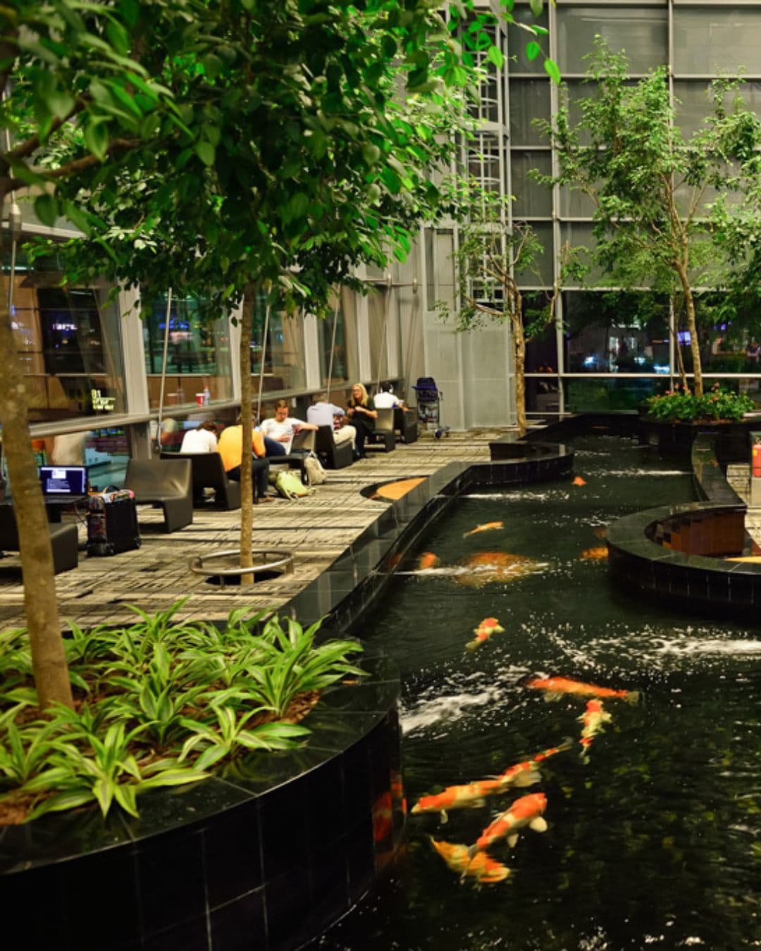 Changi Airport – 24-Hour Study Oasis with Nature Vibes Tranquil study corner with greenery and fish pond inside Changi Airport