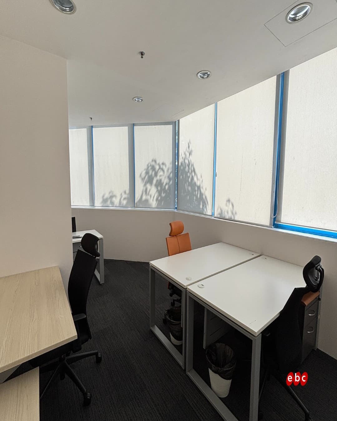 EBC Lifestyle Hub – A Serene Study & Work Oasis in Tagore Lane Peaceful modern study space at EBC Lifestyle Hub – sunlit tables, green views, and comfy chairs for focused work