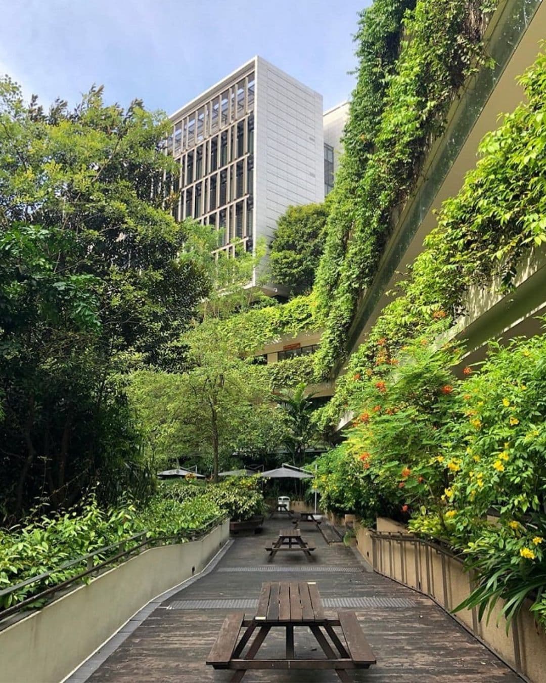 Khoo Teck Puat Hospital – Study in a Nature-Infused Corridor Nature-wrapped porch with wooden desks at Khoo Teck Puat Hospital
